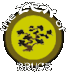 Zen of Bruce